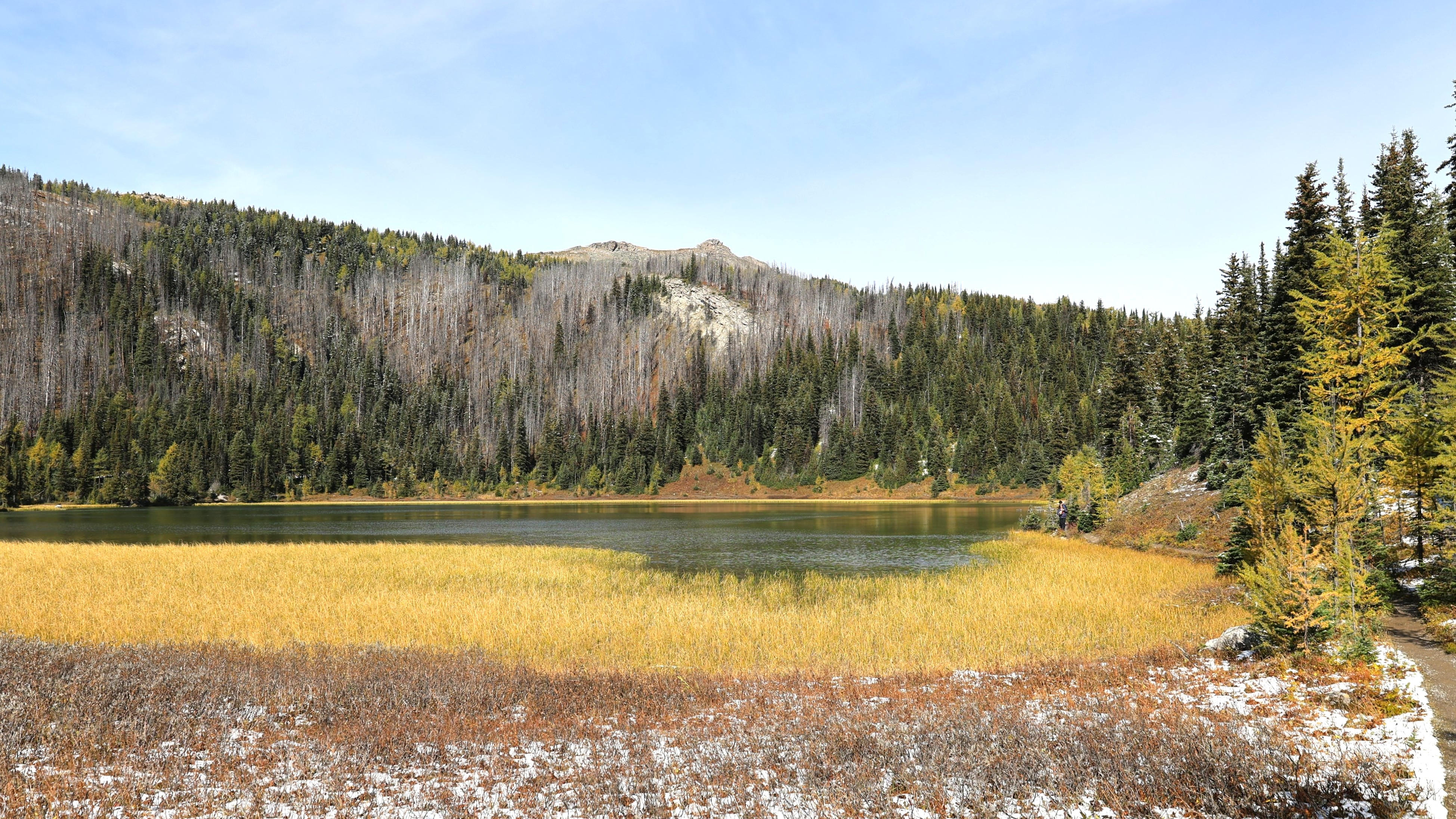 Sunshine Meadows